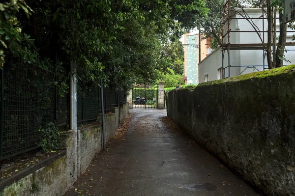 Beton duvarlar ve ağaçlarla çevrili bir yan yol.