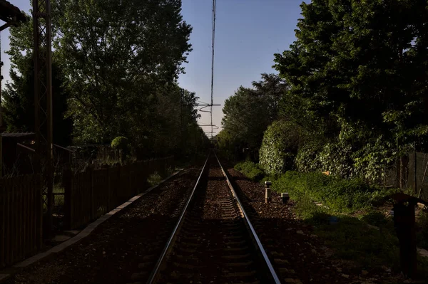 Железнодорожная Трасса Роще Закате — стоковое фото