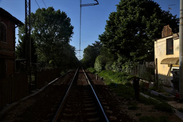 Gün Batımında Bir Korulukta Tren Yolu — Stok fotoğraf