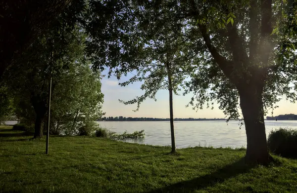 Lakeshore Park Vid Solnedgången — Stockfoto