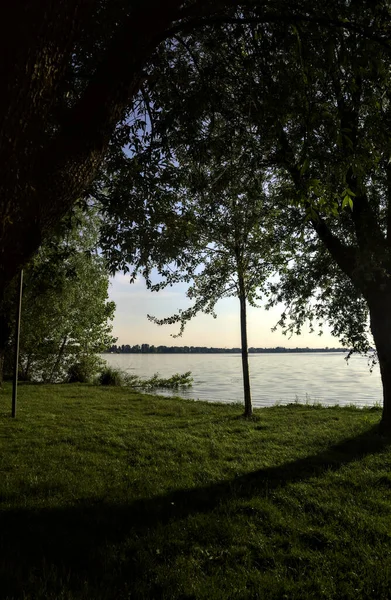 Lakeshore Park Sunset — Stock Photo, Image