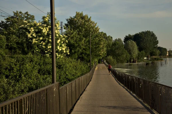 Caminho Pavimentado Uma Ponte Sobre Lago Que Leva Bosque Pôr — Fotografia de Stock