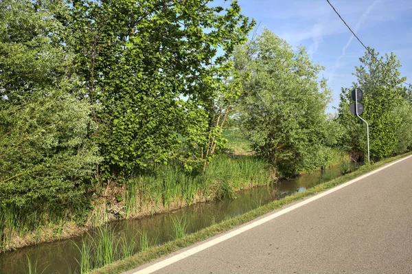 Country Road Bordered Trees Stream Water Sunny Day — Stock Photo, Image