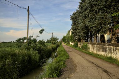 Sınırlarla çevrili bir yol ve İtalya kırsalında güneşli bir günde bir tarlanın yanında bir su deresi.