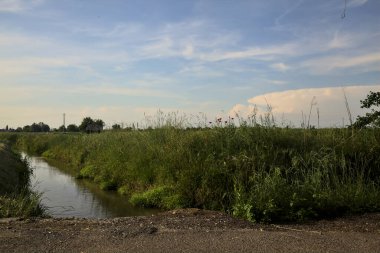 Kırsalda gelinciklerle ve uzaktaki terk edilmiş bir kır eviyle çevrili bir su akıntısı.
