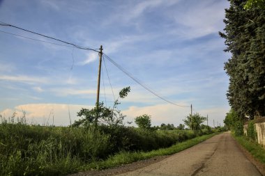Sınırlarla çevrili bir yol ve İtalya kırsalında güneşli bir günde bir tarlanın yanında bir su deresi.