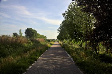 Gün batımında tarlanın kenarında bir sıra kavak ağacı olan ekili tarlaların ortasındaki köy yolu.