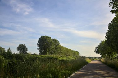 Gün batımında tarlanın kenarında bir sıra kavak ağacı olan ekili tarlaların ortasındaki köy yolu.
