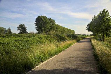 Gün batımında tarlanın kenarında bir sıra kavak ağacı olan ekili tarlaların ortasındaki köy yolu.