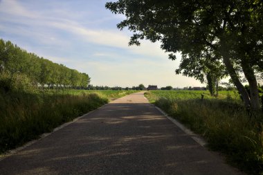 Etrafı tarlalarla çevrili bir köy yolu üzerinde bir ağaç kemeriyle çevrili.