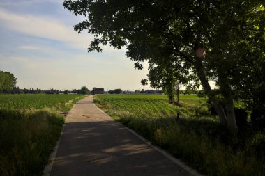 Etrafı tarlalarla çevrili bir köy yolu üzerinde bir ağaç kemeriyle çevrili.