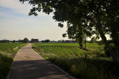 Etrafı tarlalarla çevrili bir köy yolu üzerinde bir ağaç kemeriyle çevrili.