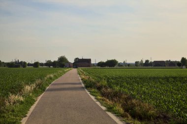 Tarlaların ortasındaki yol gün batımında uzaktaki bir kır köşküne çıkıyor.
