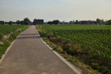 Tarlaların ortasındaki yol gün batımında uzaktaki bir kır köşküne çıkıyor.