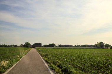 Tarlaların ortasındaki yol gün batımında uzaktaki bir kır köşküne çıkıyor.