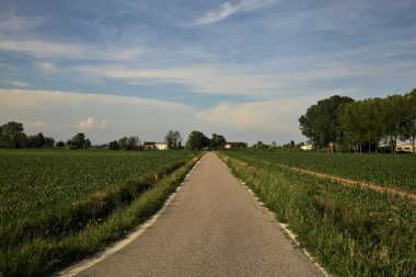Gün batımında tarlanın kenarında bir sıra kavak ağacı olan ekili tarlaların ortasındaki köy yolu.