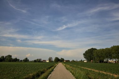 Gün batımında tarlanın kenarında bir sıra kavak ağacı olan ekili tarlaların ortasındaki köy yolu.