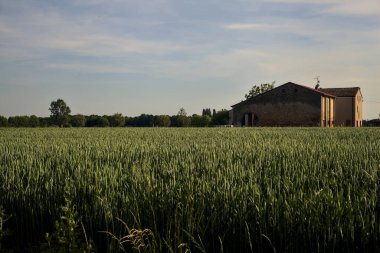 İtalya kırsalında gün batımında mısır tarlasının ortasında bir köşk.