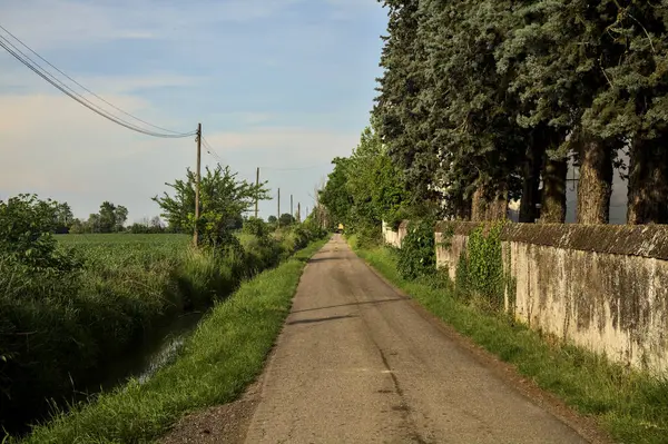 Straße Mit Begrenzungsmauer Und Einem Wasserlauf Neben Einem Feld Einem — Stockfoto