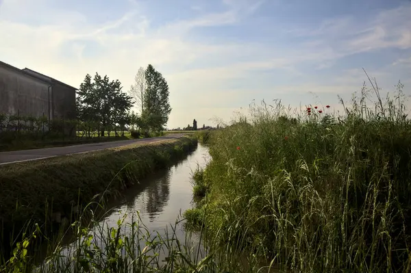 Güneşli bir günde uzakta bir kır evi olan bir dere ve ağaçlarla çevrili köy yolu.