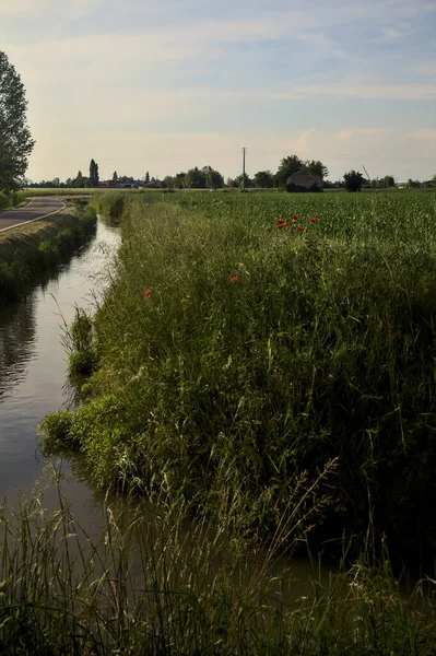 Kırsalda gelinciklerle ve uzaktaki terk edilmiş bir kır eviyle çevrili bir su akıntısı.