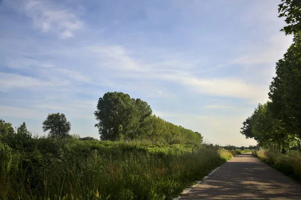 Gün batımında tarlanın kenarında bir sıra kavak ağacı olan ekili tarlaların ortasındaki köy yolu.