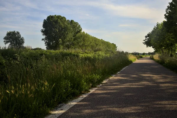 Gün batımında tarlanın kenarında bir sıra kavak ağacı olan ekili tarlaların ortasındaki köy yolu.