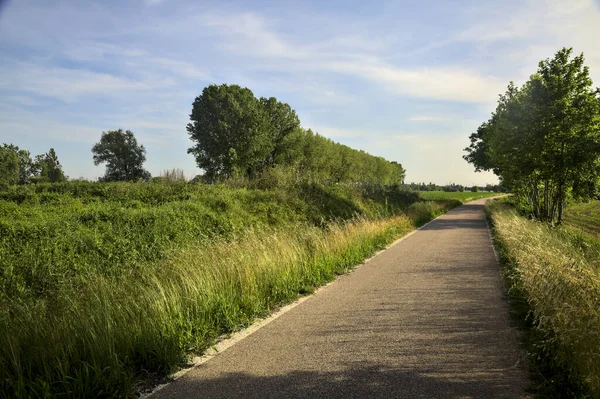 Gün batımında tarlanın kenarında bir sıra kavak ağacı olan ekili tarlaların ortasındaki köy yolu.