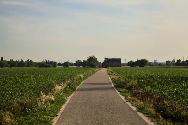 Tarlaların ortasındaki yol gün batımında uzaktaki bir kır köşküne çıkıyor.