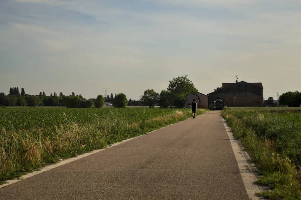 Tarlaların ortasındaki yol gün batımında uzaktaki bir kır köşküne çıkıyor.