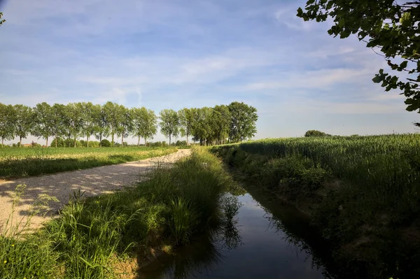 İtalya kırsalında gün batımında bir dere kenarında toprak bir patika var.
