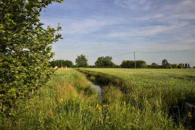 Gün batımında tarlalar ağaçlarla çevrili bir su akıntısı ve uzaktaki bir kır köşkü ile