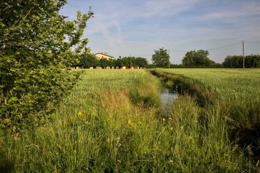 Gün batımında tarlalar ağaçlarla çevrili bir su akıntısı ve uzaktaki bir kır köşkü ile