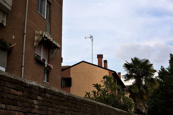 Gebouwen Met Zwarten Een Palmboom Een Bewolkte Dag — Stockfoto