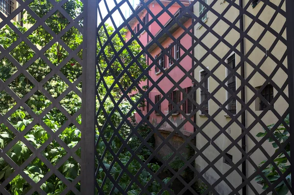 塀を通って見える水の流れに家といちじくの木の列 — ストック写真