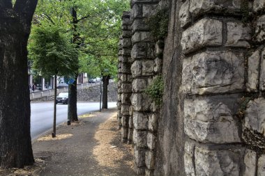 Ağaçlarla çevrili gölgelerde asfalt