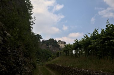 Üzüm bağının ortasındaki toprak yol. Arka planda bir tepenin üzerine güçlendirilmiş toprak.