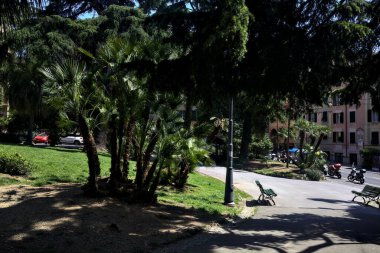 Ağaçların arasından süzülen gölgeler,