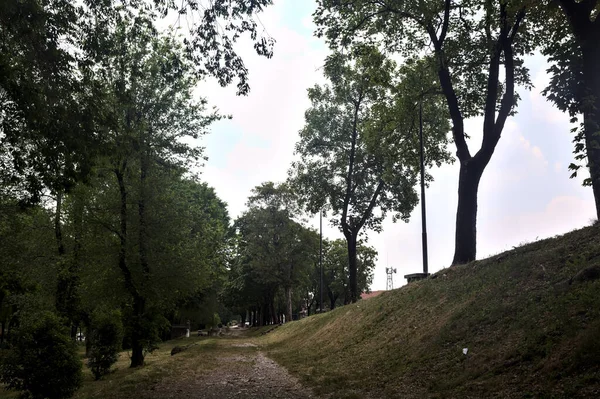 Verharde Weg Omzoomd Door Bomen Een Dijk Een Park — Stockfoto