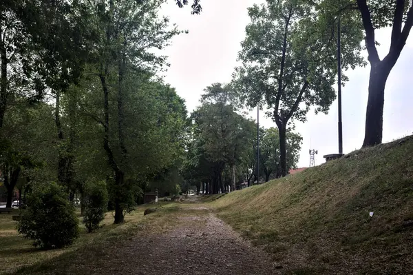 Paved Path Bordered Trees Embankment Park — Fotografia de Stock