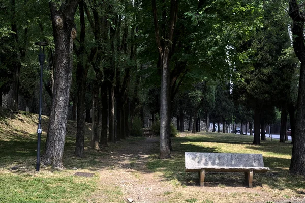 Stone Bench Shade Trees Park Sunny Day — Φωτογραφία Αρχείου