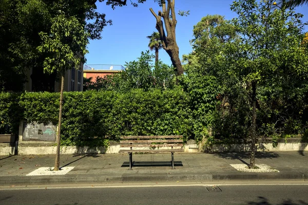 Bench Two Trees Edge Street Sunny Day — ストック写真