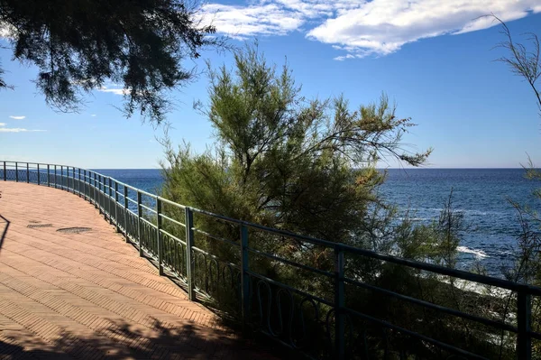 Paseo Panorámico Con Árboles Riel Junto Mar Día Soleado — Foto de Stock