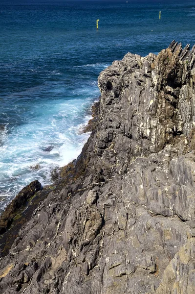 Bare Cliff Sea Sunny Clear Day — Stock Photo, Image