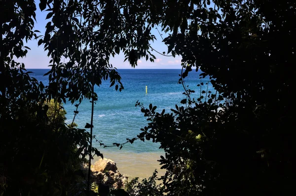 Ağaçlarla Çevrili Güneşli Bir Günde Deniz — Stok fotoğraf