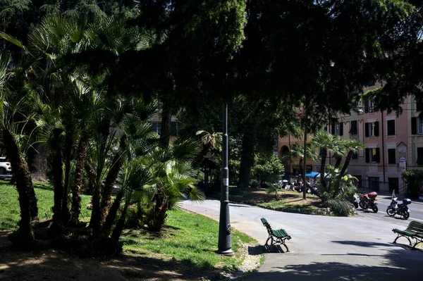 Caminho Sombra Com Árvores Arqueando Nele — Fotografia de Stock