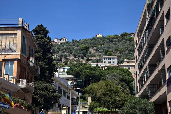 Hill on a sunny day with houses built on it framed by condominiums