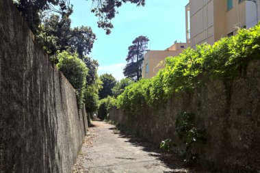 Taş duvarlar arasında sarmaşıklarla kaplı kaldırımlı bir ara sokak.