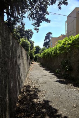 Taş duvarlar arasında sarmaşıklarla kaplı kaldırımlı bir ara sokak.