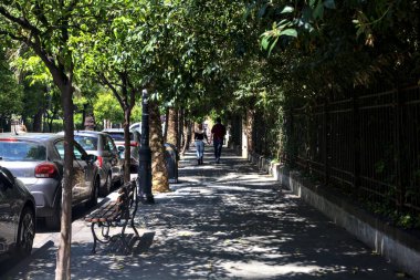 Güneşli bir günde, çitlerle ve ağaçlarla çevrili bir yer.